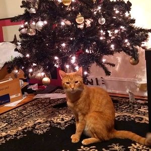 FINAL DAY OF SALE !!